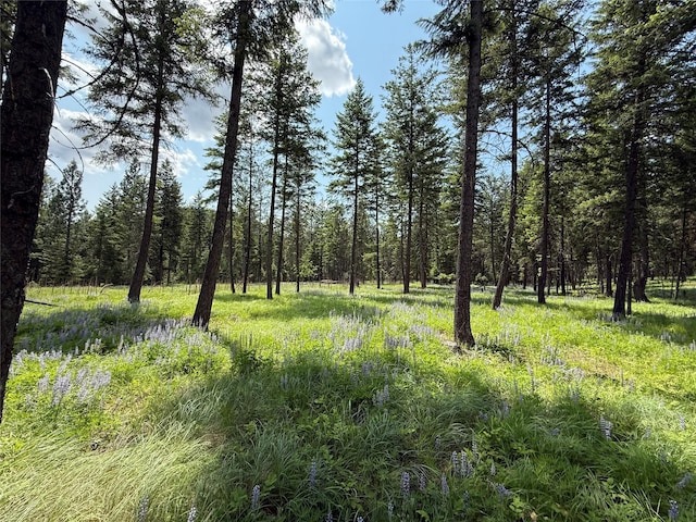 NHN Kootenai Dr, Troy, MT 59935