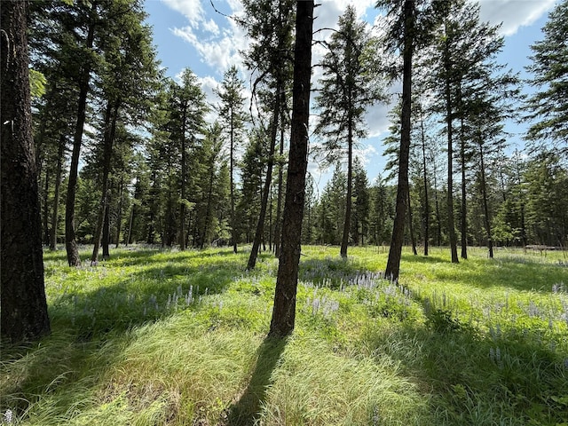 NHN Kootenai Dr, Troy, MT 59935