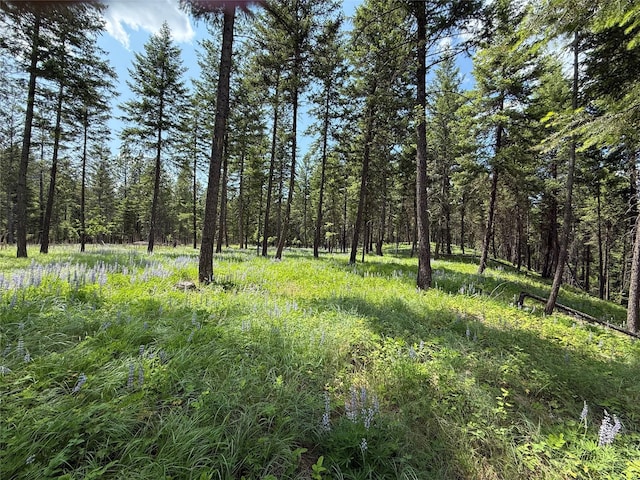 NHN Kootenai Dr, Troy, MT 59935