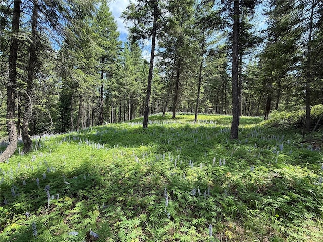 NHN Kootenai Dr, Troy, MT 59935