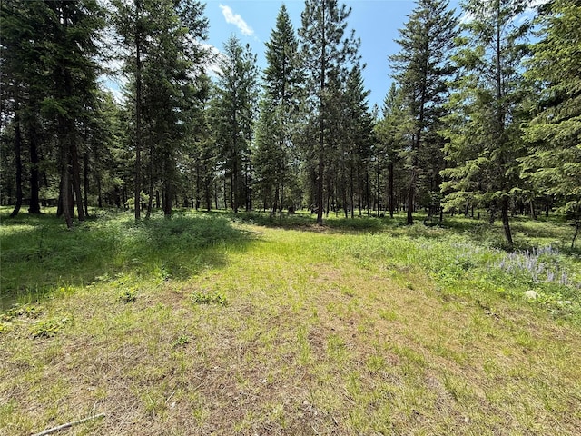 NHN Kootenai Dr, Troy, MT 59935