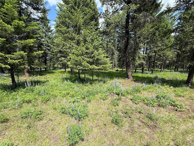 NHN Kootenai Dr, Troy, MT 59935