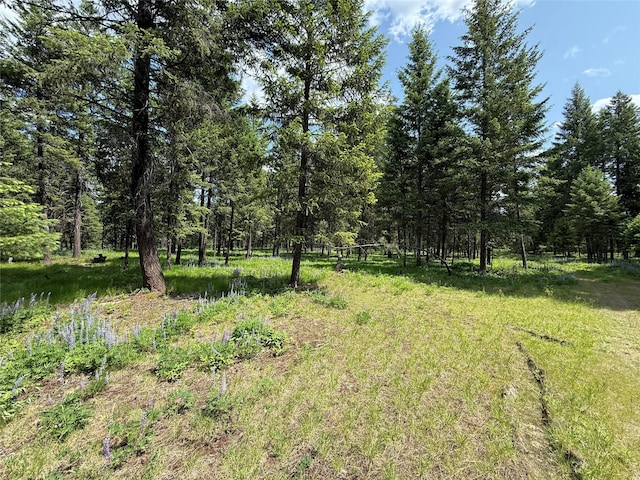 NHN Kootenai Dr, Troy, MT 59935