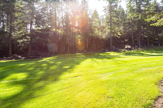 183B Eagle Bend Dr, Bigfork, MT 59911 - view of green lawn