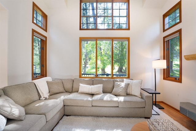 183B Eagle Bend Dr, Bigfork, MT 59911 - living room with a towering ceiling, wood finished floors, and plenty of natural light