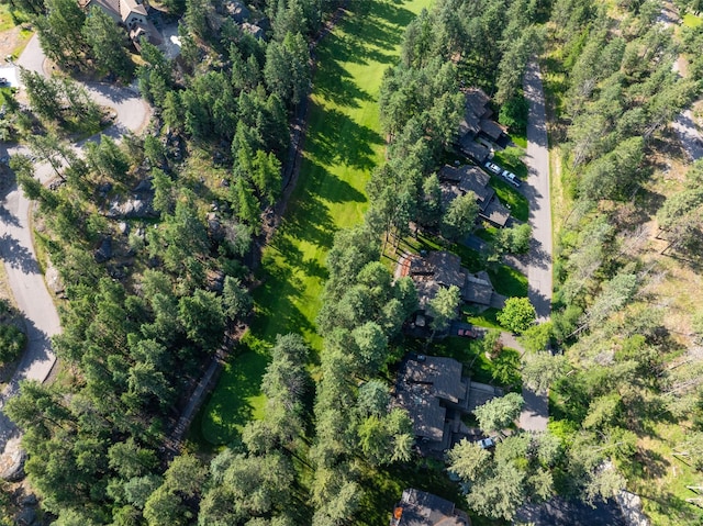 183B Eagle Bend Dr, Bigfork, MT 59911 - aerial view of property and surrounding area