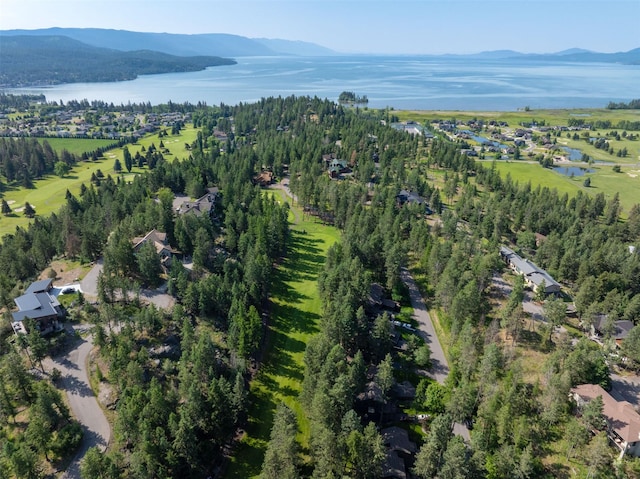 183B Eagle Bend Dr, Bigfork, MT 59911 - view of property location featuring a water and mountain view