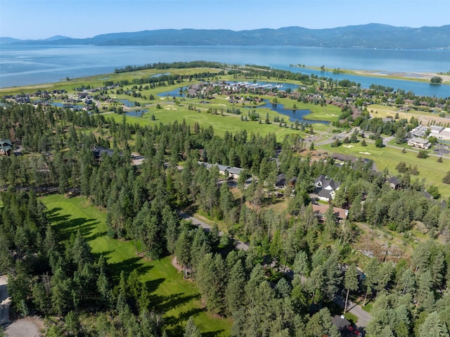 183B Eagle Bend Dr, Bigfork, MT 59911 - view of property location featuring a water and mountain view