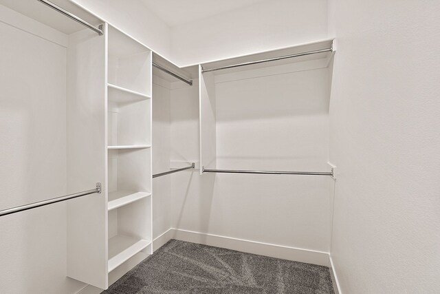 243 Stirling Loop, East Helena, MT 59635 - walk in closet featuring carpet