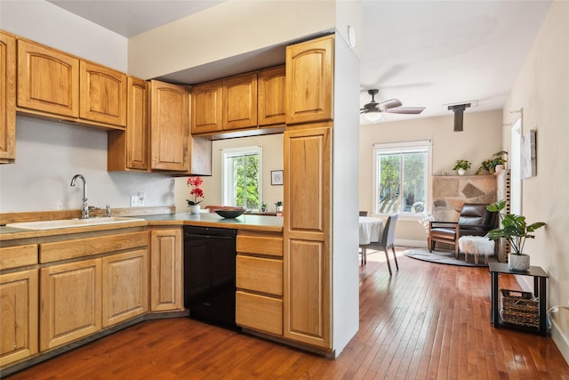 915 3rd St, Missoula, MT 59802 - kitchen featuring black dishwasher, dark wood finished floors, a ceiling fan, and light countertops