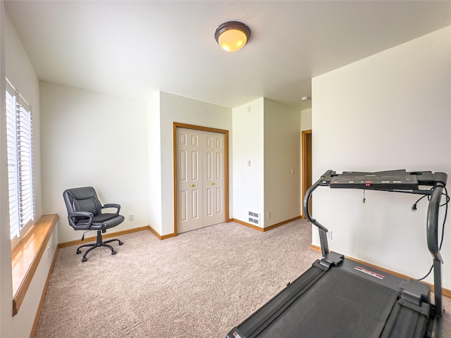 3640 Jack Dr, Missoula, MT 59803 - exercise room featuring carpet flooring and plenty of natural light