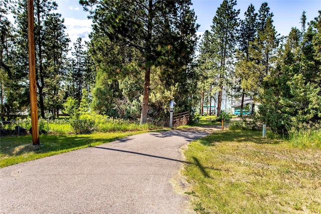 NHN US Highway 93, Big Arm, MT 59910