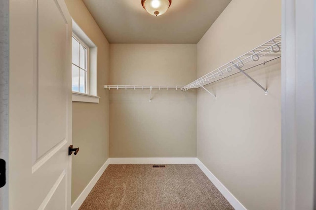 2909 Travis Ave, Helena, MT 59601 - walk in closet featuring carpet floors