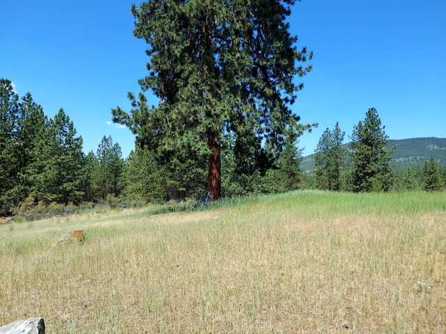 Lot5 Fairway Court, Plains, MT 59859