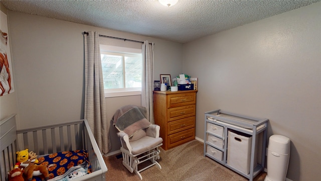 181 Ridgeway Dr, Lolo, MT 59847 - bedroom with a textured ceiling and carpet