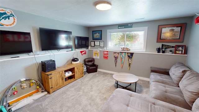 181 Ridgeway Dr, Lolo, MT 59847 - living room featuring carpet flooring