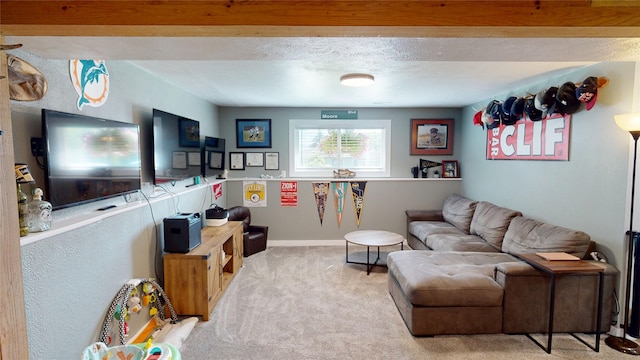 181 Ridgeway Dr, Lolo, MT 59847 - living room with carpet floors