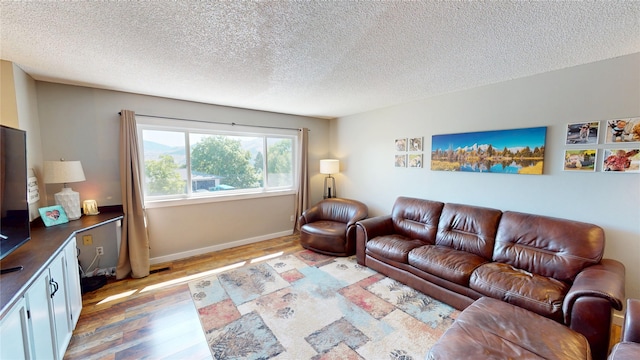 181 Ridgeway Dr, Lolo, MT 59847 - living room with light wood-style floors and a textured ceiling