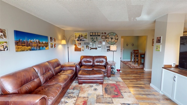 181 Ridgeway Dr, Lolo, MT 59847 - living room featuring light wood-style flooring and a textured ceiling