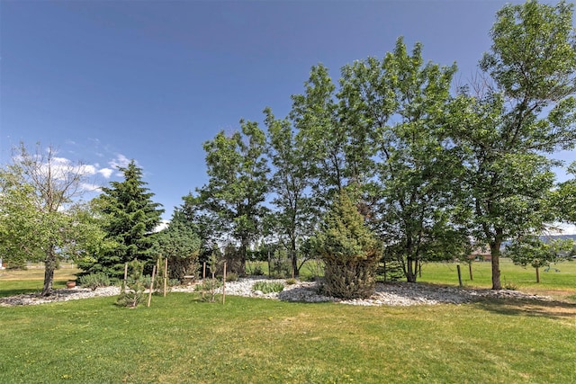 424 Saddle Ridge Rd, Hamilton, MT 59840 - view of grassy yard