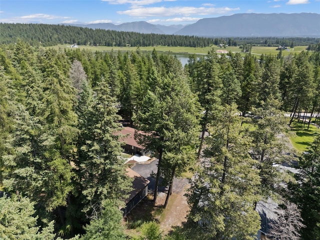 128 Mallard Loop, Whitefish, MT 59937 - mountain view with a heavily wooded area and a nearby body of water