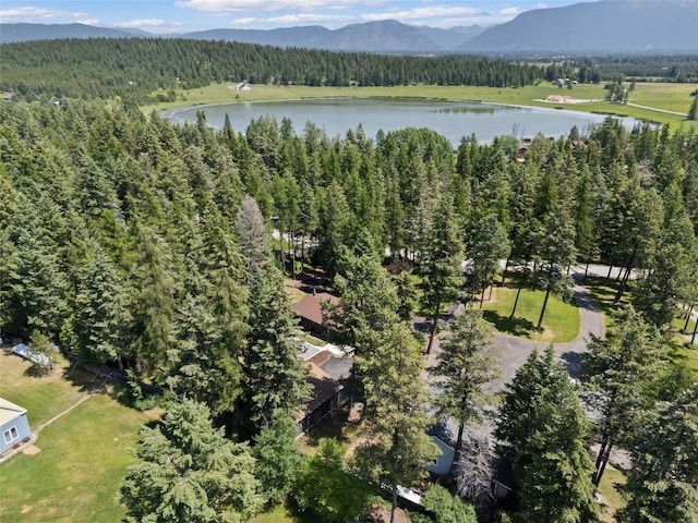 128 Mallard Loop, Whitefish, MT 59937 - drone / aerial view of a water and mountain view