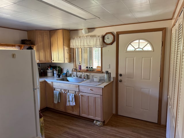 30 Idle Hour Way, Clinton, MT 59825 - kitchen featuring freestanding refrigerator, light countertops, and dark wood-style flooring