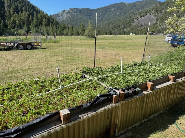 30 Idle Hour Way, Clinton, MT 59825 - view of mountain backdrop featuring a forest