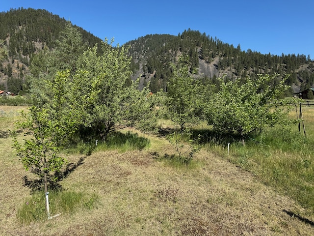 30 Idle Hour Way, Clinton, MT 59825 - view of mountain background