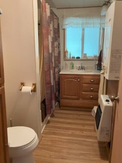 30 Idle Hour Way, Clinton, MT 59825 - bathroom featuring wood finished floors, vanity, and a shower with shower curtain