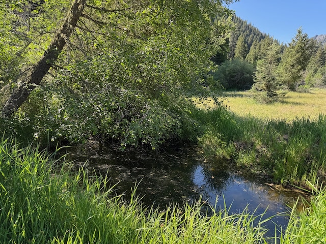 30 Idle Hour Way, Clinton, MT 59825 - view of wooded area
