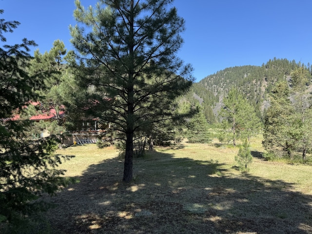 30 Idle Hour Way, Clinton, MT 59825 - view of yard featuring a mountain view and a wooded view
