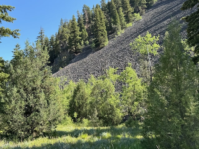 30 Idle Hour Way, Clinton, MT 59825 - view of wooded area