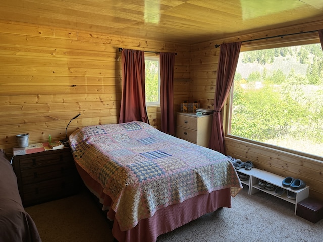 30 Idle Hour Way, Clinton, MT 59825 - bedroom with wooden walls and carpet