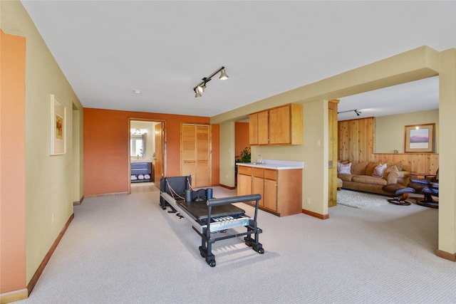 1087 Sunny Vista Rd, Helena, MT 59602 - exercise room with light carpet, wooden walls, and rail lighting