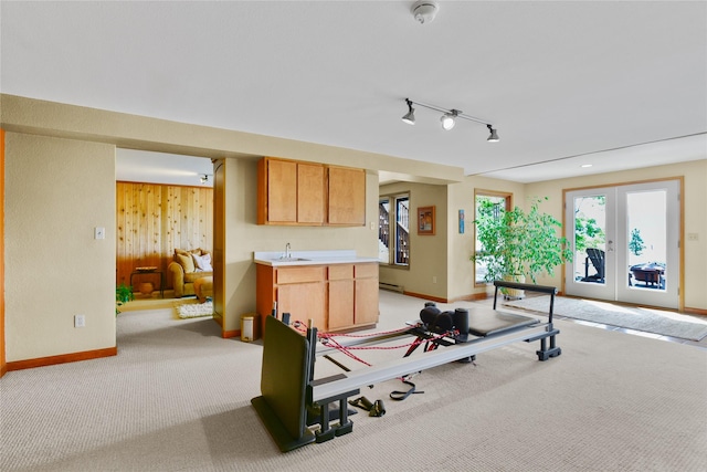 1087 Sunny Vista Rd, Helena, MT 59602 - exercise room featuring light colored carpet and a baseboard radiator