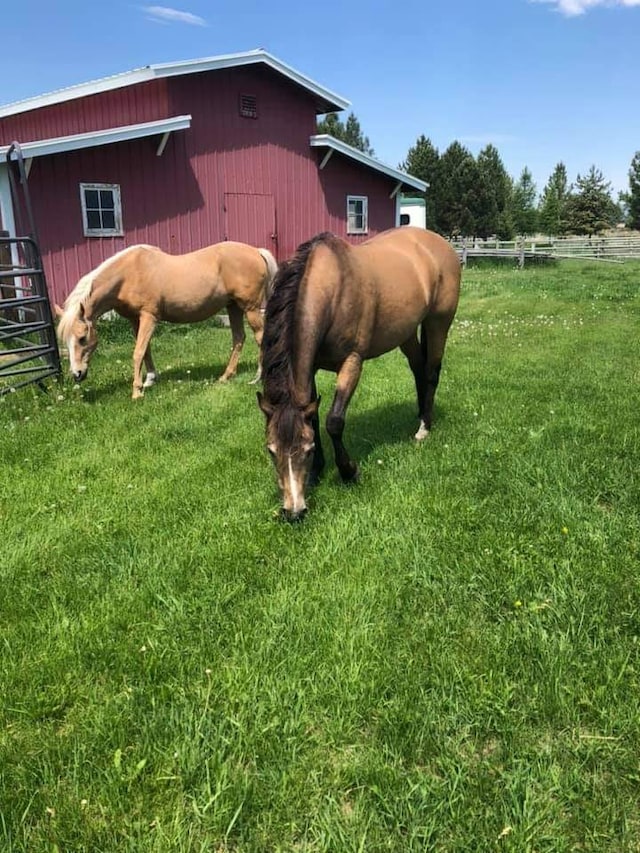 2709 Humble Rd, Missoula, MT 59804 - view of horse barn