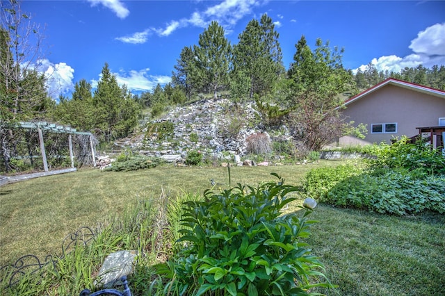 8319 Canyon Ferry Rd, Helena, MT 59602 - view of green lawn