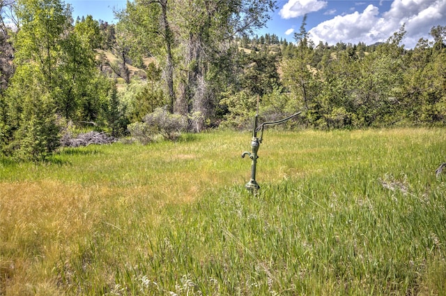 8319 Canyon Ferry Rd, Helena, MT 59602 - view of yard