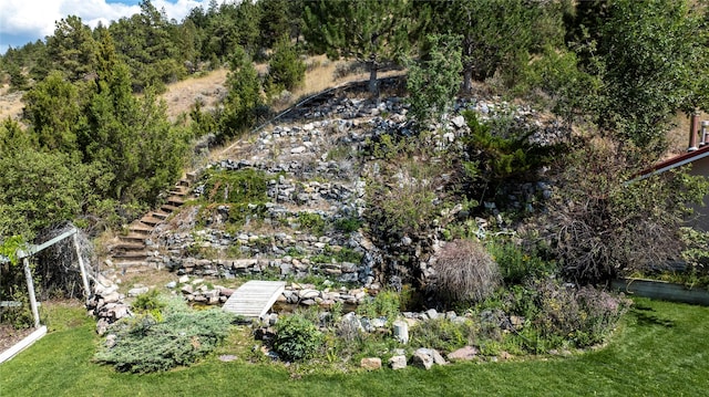 8319 Canyon Ferry Rd, Helena, MT 59602 - view of yard