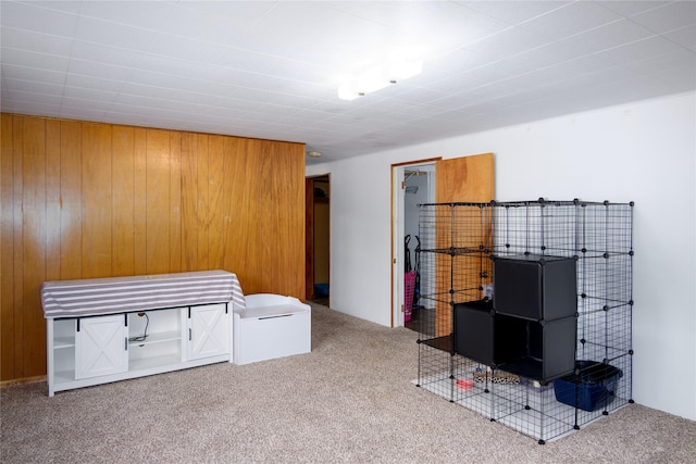 440 Dome Mountain Rd, Libby, MT 59923 - rec room featuring carpet flooring and wood walls