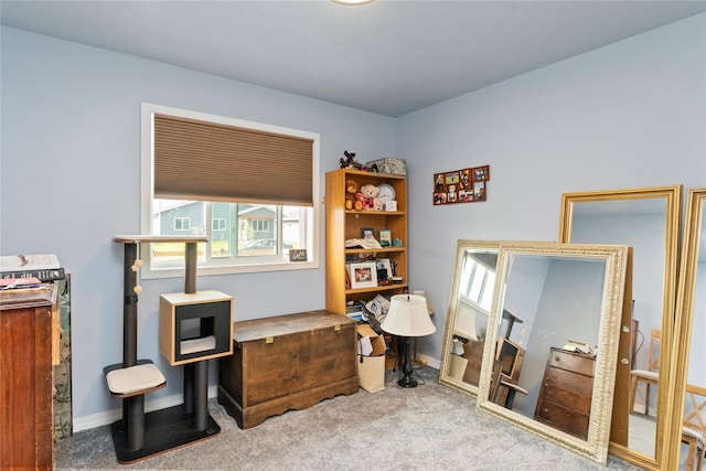 2009 22nd Ave S, Great Falls, MT 59405 - home office featuring carpet flooring