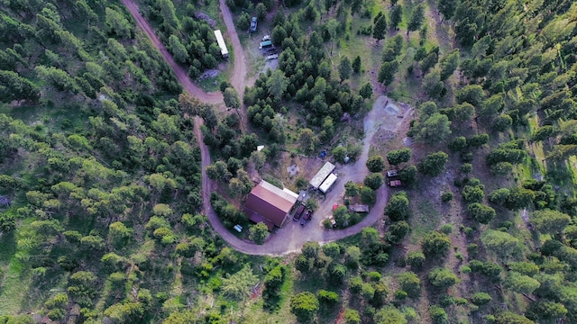 912 Muskrat Rd, Helmville, MT 59843 - aerial overview of property's location