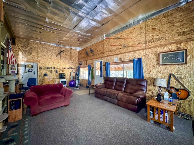912 Muskrat Rd, Helmville, MT 59843 - view of carpeted living room