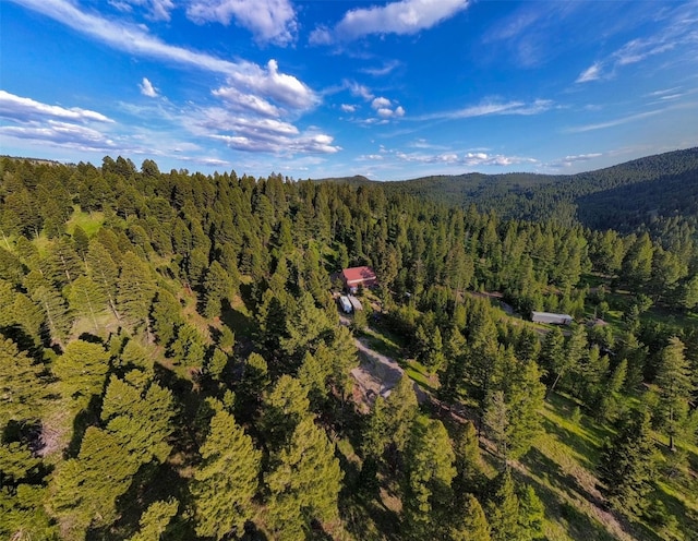 912 Muskrat Rd, Helmville, MT 59843 - aerial view of property's location with mountains