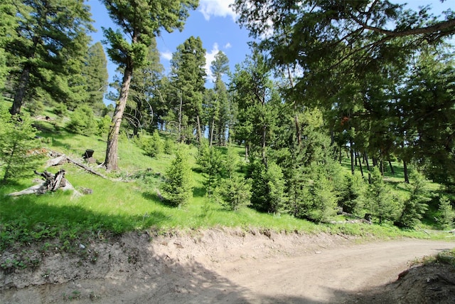 912 Muskrat Rd, Helmville, MT 59843 - view of local wilderness