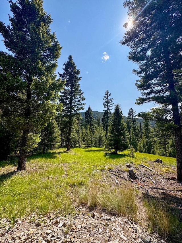 912 Muskrat Rd, Helmville, MT 59843 - view of wooded area
