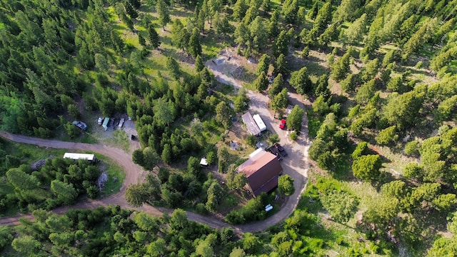 912 Muskrat Rd, Helmville, MT 59843 - aerial view of property's location