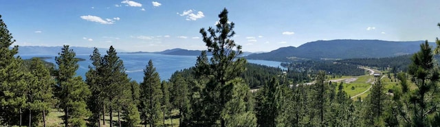 20536 Wild Horse Ranch Rd, Rollins, MT 59931 - view of mountain background with a heavily wooded area