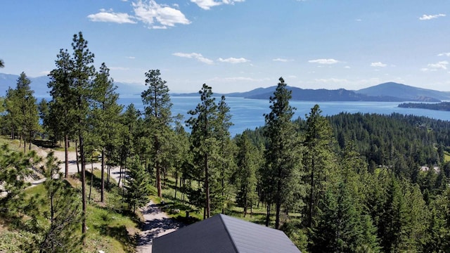 20536 Wild Horse Ranch Rd, Rollins, MT 59931 - view of mountain backdrop featuring a heavily wooded area